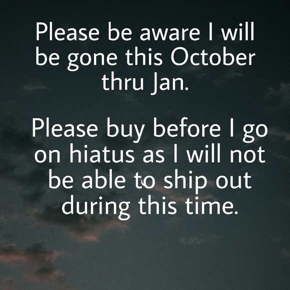 SOLDENCHANTED MARIONETTE LACE SKIRT - Picture 9 of 9